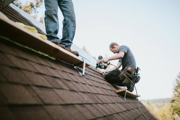 Quick and Trustworthy Emergency Roof Repair Services in Lake Oswego, OR